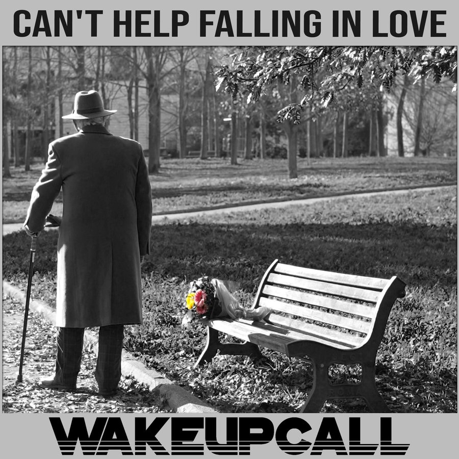 Can't Help Falling in Love